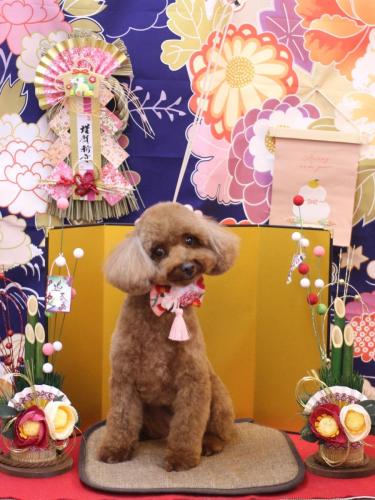 20240114ルアナちゃん